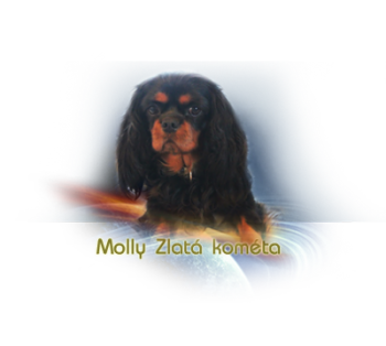 molly
